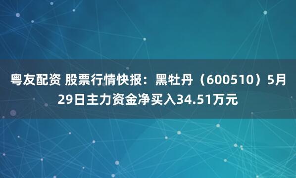 粤友配资 股票行情快报:黑牡丹(600510)5月29日主力资金净买入34.51万元