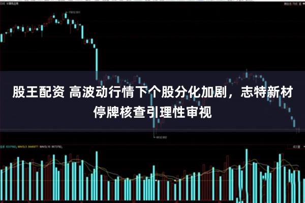 股王配资 高波动行情下个股分化加剧，志特新材停牌核查引理性审视