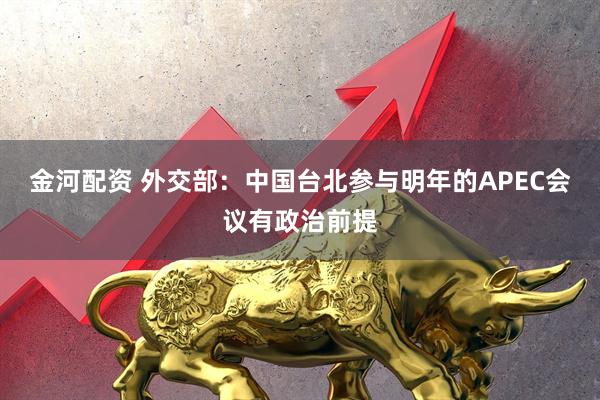金河配资 外交部：中国台北参与明年的APEC会议有政治前提